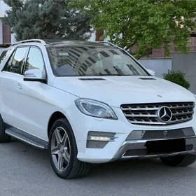 Mercedes-Benz ML350 2013