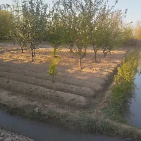 nahalça bar gerek adama