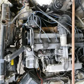 mark 2lik mator karopga.