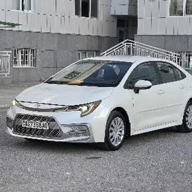 Toyota Corolla 2020