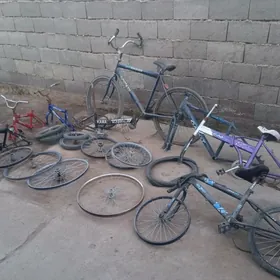 TİGİR DİSKA ZAPJAS