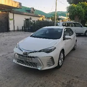 Toyota Corolla 2019