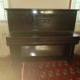 Piayino немецкий