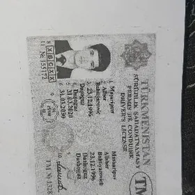 Sürüjilik şahadatnama