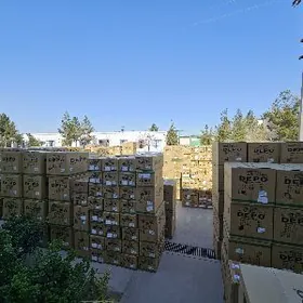 FARA.STOP TUMAN LEXUS TOYOTA