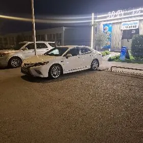 Toyota Camry 2019