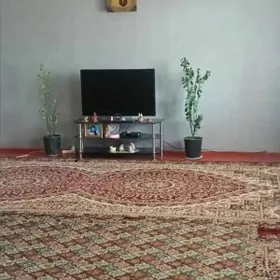 AYRAPORTDA HOWLY JAY