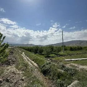 satlyk Gökdepe 200 sotak ýer