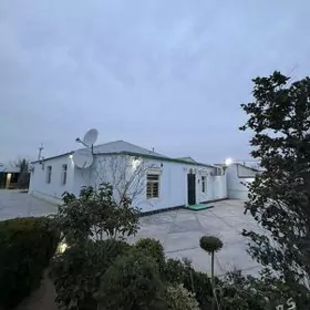 satlyk Bekrewe 8 sotak