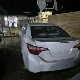 Toyota Corolla 2014
