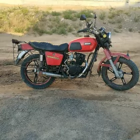 Fekon FK200-14G 2013