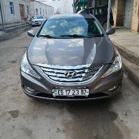 Hyundai Sonata 2010