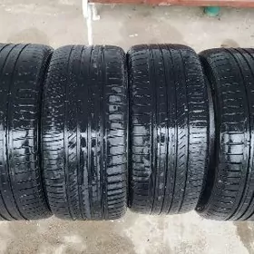 KINFOREST Uski sroki