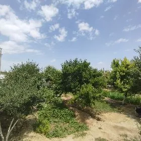 ХОВЛА ИШГАР ГЕРЕЕ