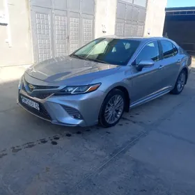 Toyota Camry 2019