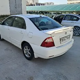 Toyota Corolla 2007