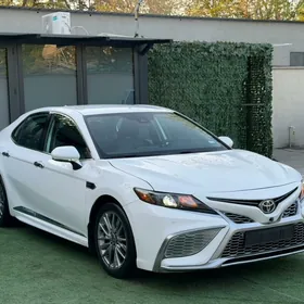 Toyota Camry 2022
