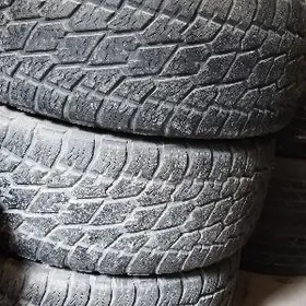 285 60 18 TEKER TIGIR