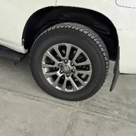 Prado diska 18 lik.  arginal