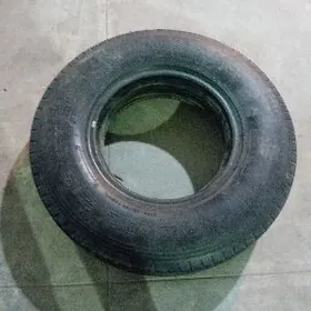 Yokahoma Teker Canter