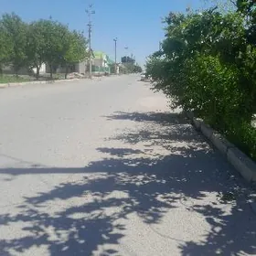 buzmeyin yasmansalik satlik ja