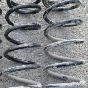 carolla purźyn 2008 .10