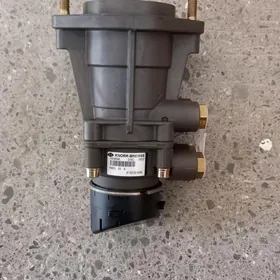 MAN glawny tormuz gyrant