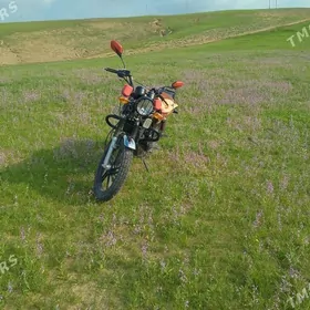 Fekon FK200-14G 2026