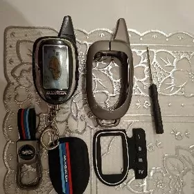 magicar daṣ(korpus)