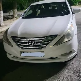 Hyundai Sonata 2010