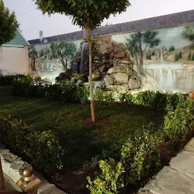 Coganly katež cep tarap