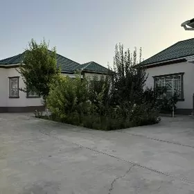 BAGYR MIREWE 8 SOTOK