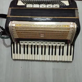 akkordeon