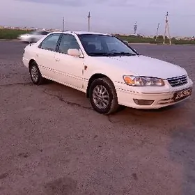 Toyota Camry 1999