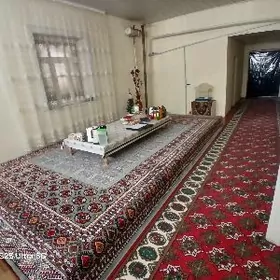 Satlyk Jay Ucastga Howly