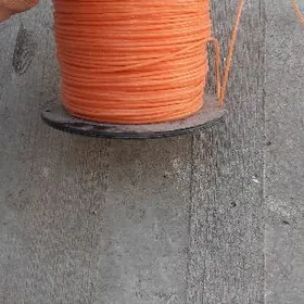 Газона копилка Леска