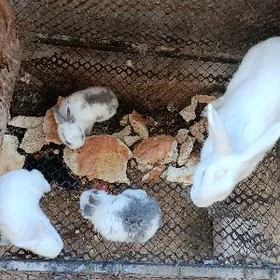 Мать и дети