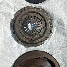 Дископереда махавик