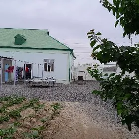 çoganly 6 sotki plan jay