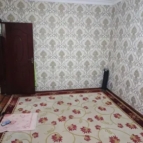 Kim Rayon satlyk jay