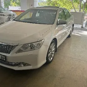 Toyota Aurion 2013