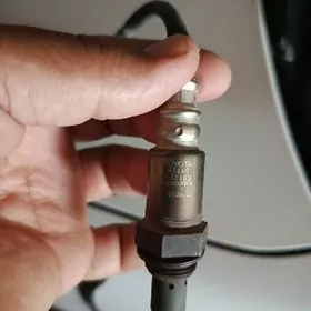 katalizator катализатор лямдоз