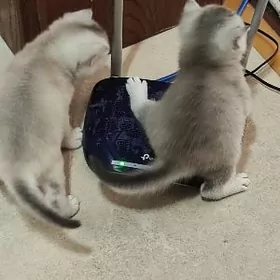 Открыть резерв