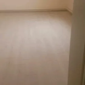 Elitga jay Gokdepe kwartyran