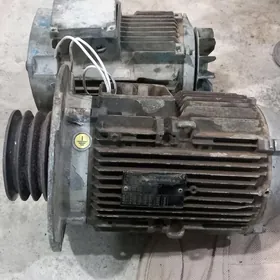 elektra mator diwigt