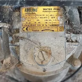 Drinaznyy nasos/Glubinnyy naso