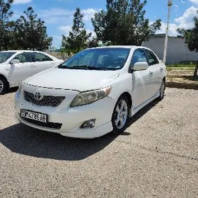 Toyota Corolla 2010