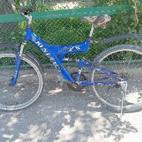 tigir zapcas welik ul