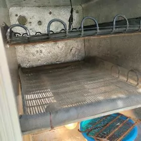 инкубатор.200.юмуртгалик