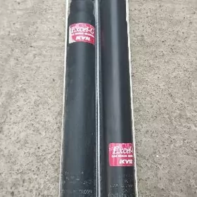 Amanssatr duty senna